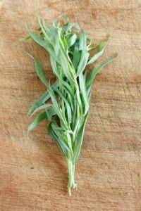 digize essential oil benefits tarragon