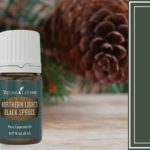 northern lights black spruce